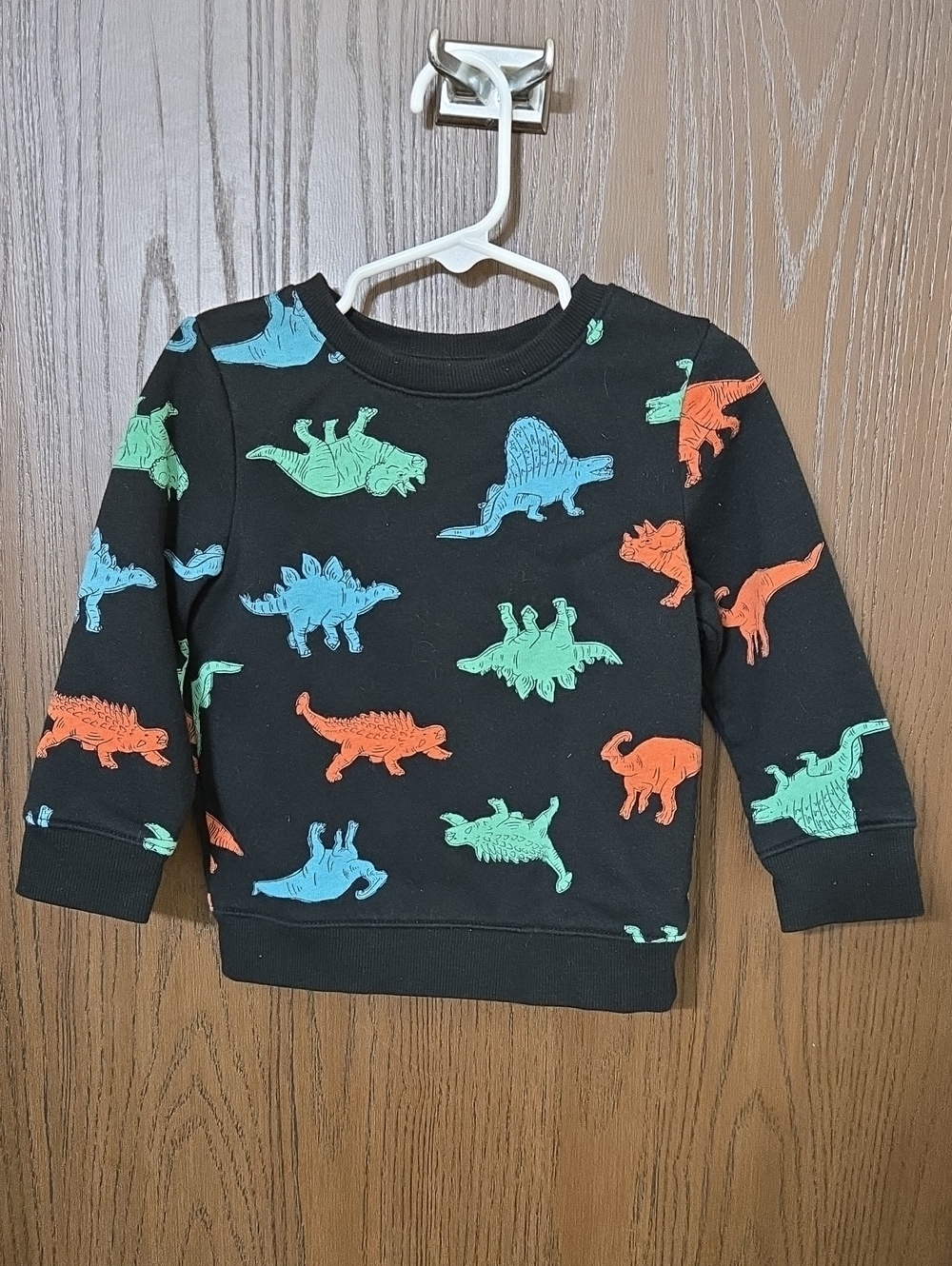 Cat & Jack Black Sweatshirt with Blue, Green & Orange Dinosaurs